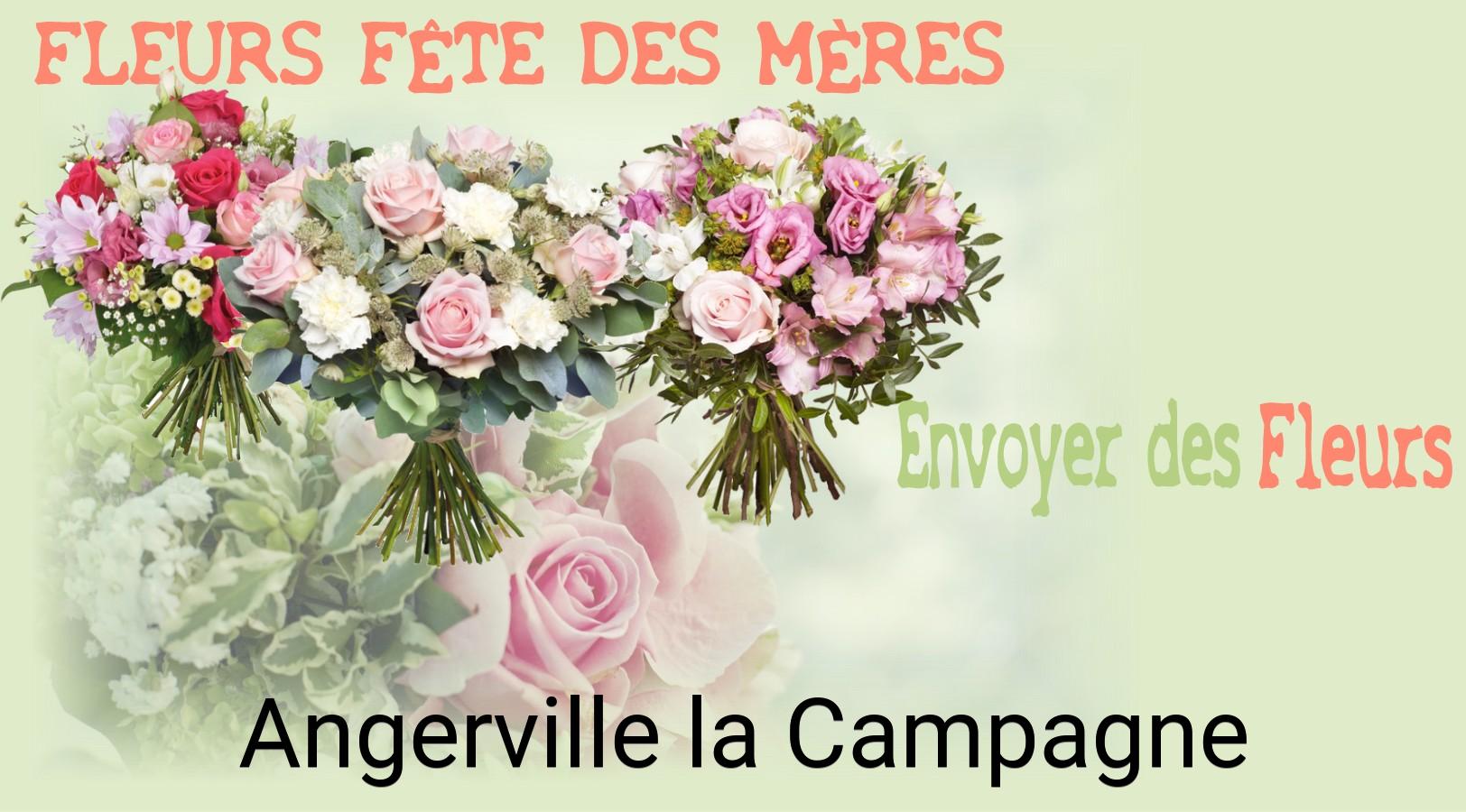 Bouquet de Fête des Mères livré à Angerville-la-Campagne